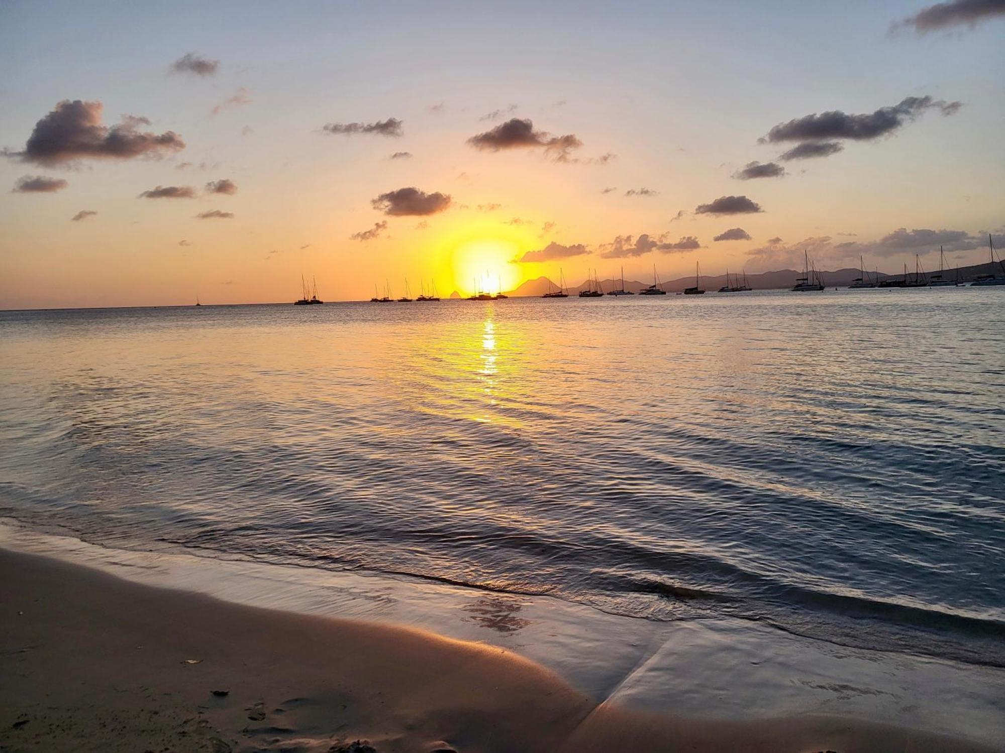Vue Magnifique Sur La Nature , Proche Des Plages 4 A 6 Pers Rivière-Pilote Exteriér fotografie